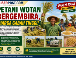 Panen Raya di Desa Wotan, Sukolilo, Pati, Petani Bergembira Harga Gabah Tinggi