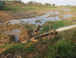 Silugonggo Mengering! Ribuan Hektare Sawah Pati Terancam Gagal Panen.